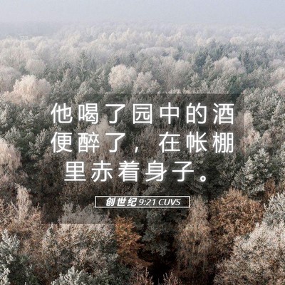 Picture 05 - 创 世 纪 9:21 CUVS - 他 喝 了 园 中 的 酒 便 醉 了 ， 在 - Bible Verse Picture