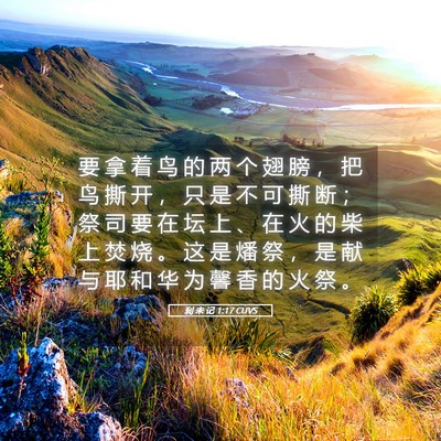 Picture 05 - 利 未 记 1:17 CUVS - 要 拿 着 鸟 的 两 个 翅 膀 ， 把 鸟 - Bible Verse Picture