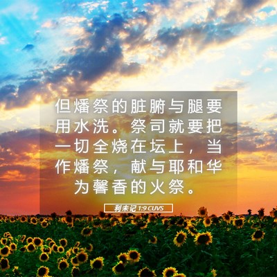 Picture 05 - 利 未 记 1:9 CUVS - 但 燔 祭 的 脏 腑 与 腿 要 用 水 洗 - Bible Verse Picture