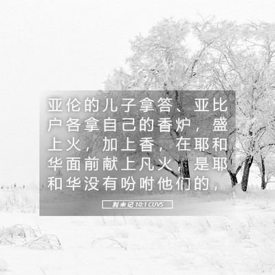 Picture 05 - 利 未 记 10:1 CUVS - 亚 伦 的 儿 子 拿 答 、 亚 比 户 各 - Bible Verse Picture