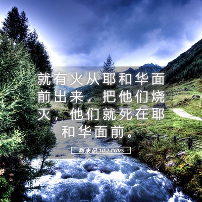 Picture 05 - 利 未 记 10:2 CUVS - 就 有 火 从 耶 和 华 面 前 出 来 ， - Bible Verse Picture