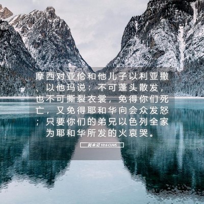 Picture 05 - 利 未 记 10:6 CUVS - 摩 西 对 亚 伦 和 他 儿 子 以 利 亚 - Bible Verse Picture