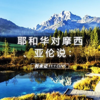 Picture 05 - 利 未 记 11:1 CUVS - 耶 和 华 对 摩 西 、 亚 伦 说 - Bible Verse Picture