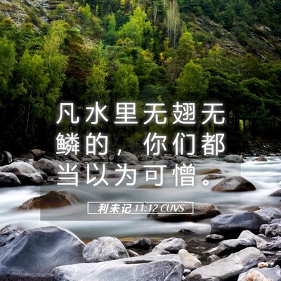 Picture 05 - 利 未 记 11:12 CUVS - 凡 水 里 无 翅 无 鳞 的 ， 你 们 都 - Bible Verse Picture
