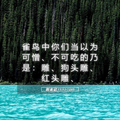 Picture 05 - 利 未 记 11:13 CUVS - 雀 鸟 中 你 们 当 以 为 可 憎 、 不 - Bible Verse Picture