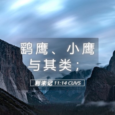 Picture 05 - 利 未 记 11:14 CUVS - 鹞 鹰 、 小 鹰 与 其 类 - Bible Verse Picture