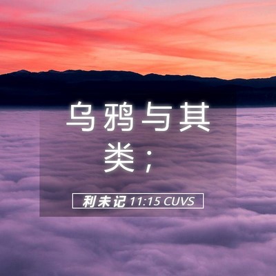 Picture 05 - 利 未 记 11:15 CUVS - 乌 鸦 与 其 类 - Bible Verse Picture
