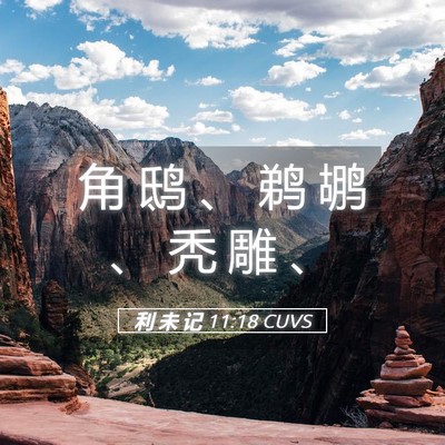 Picture 05 - 利 未 记 11:18 CUVS - 角 鸱 、 鹈 鹕 、 秃 雕 - Bible Verse Picture