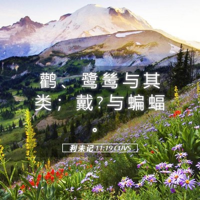 Picture 05 - 利 未 记 11:19 CUVS - 鹳 、 鹭 鸶 与 其 类 ； 戴 ? 与 蝙 蝠 - Bible Verse Picture