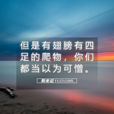 Picture 05 - 利 未 记 11:23 CUVS - 但 是 有 翅 膀 有 四 足 的 爬 物 ， - Bible Verse Picture