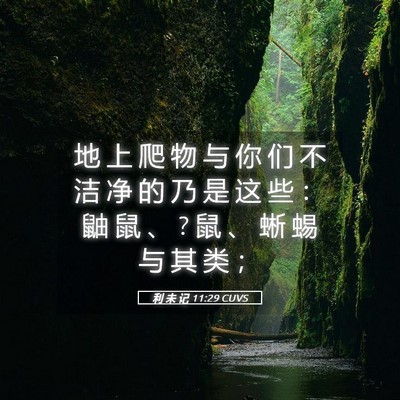 Picture 05 - 利 未 记 11:29 CUVS - 地 上 爬 物 与 你 们 不 洁 净 的 乃 - Bible Verse Picture