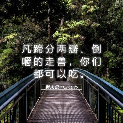 Picture 05 - 利 未 记 11:3 CUVS - 凡 蹄 分 两 瓣 、 倒 嚼 的 走 兽 ， - Bible Verse Picture