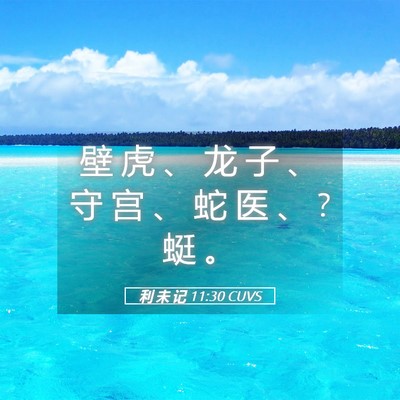 Picture 05 - 利 未 记 11:30 CUVS - 壁 虎 、 龙 子 、 守 宫 、 蛇 医 、 ? - Bible Verse Picture