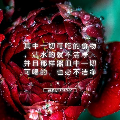 Picture 05 - 利 未 记 11:34 CUVS - 其 中 一 切 可 吃 的 食 物 ， 沾 水 - Bible Verse Picture