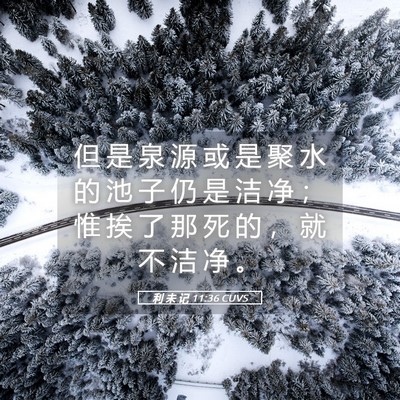 Picture 05 - 利 未 记 11:36 CUVS - 但 是 泉 源 或 是 聚 水 的 池 子 仍 - Bible Verse Picture