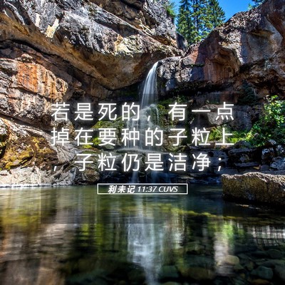 Picture 05 - 利 未 记 11:37 CUVS - 若 是 死 的 ， 有 一 点 掉 在 要 种 - Bible Verse Picture