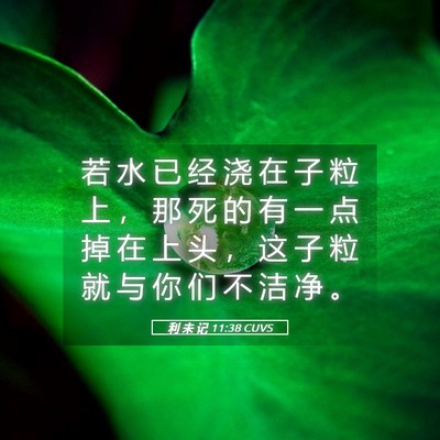 Picture 05 - 利 未 记 11:38 CUVS - 若 水 已 经 浇 在 子 粒 上 ， 那 死 - Bible Verse Picture