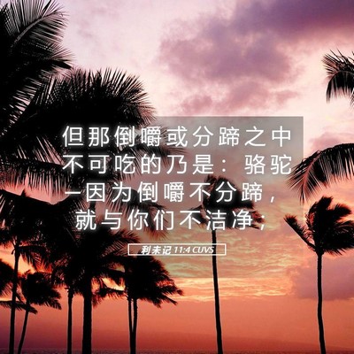Picture 05 - 利 未 记 11:4 CUVS - 但 那 倒 嚼 或 分 蹄 之 中 不 可 吃 - Bible Verse Picture