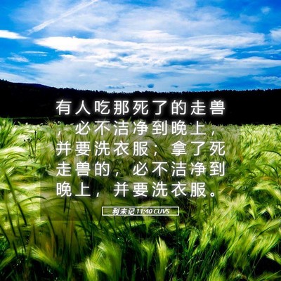 Picture 05 - 利 未 记 11:40 CUVS - 有 人 吃 那 死 了 的 走 兽 ， 必 不 - Bible Verse Picture