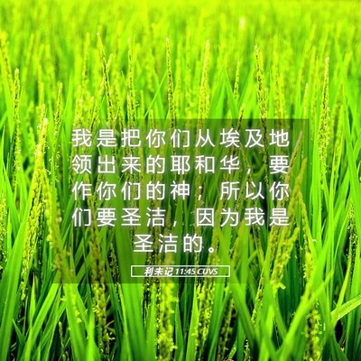 Picture 05 - 利 未 记 11:45 CUVS - 我 是 把 你 们 从 埃 及 地 领 出 来 - Bible Verse Picture