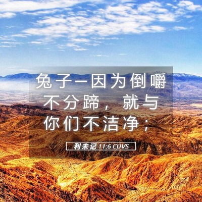 Picture 05 - 利 未 记 11:6 CUVS - 兔 子 ─ 因 为 倒 嚼 不 分 蹄 ， 就 - Bible Verse Picture