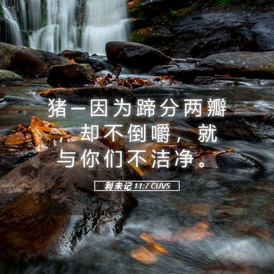 Picture 05 - 利 未 记 11:7 CUVS - 猪 ─ 因 为 蹄 分 两 瓣 ， 却 不 倒 - Bible Verse Picture