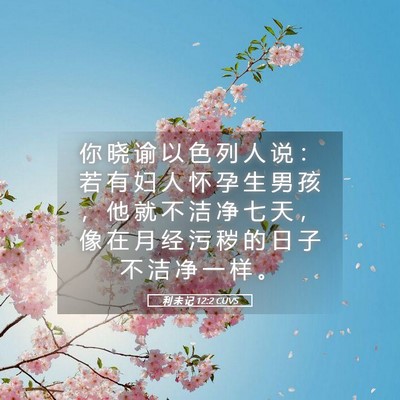 Picture 05 - 利 未 记 12:2 CUVS - 你 晓 谕 以 色 列 人 说 ： 若 有 妇 - Bible Verse Picture