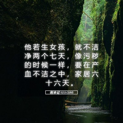 Picture 05 - 利 未 记 12:5 CUVS - 他 若 生 女 孩 ， 就 不 洁 净 两 个 - Bible Verse Picture