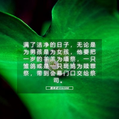 Picture 05 - 利 未 记 12:6 CUVS - 满 了 洁 净 的 日 子 ， 无 论 是 为 - Bible Verse Picture