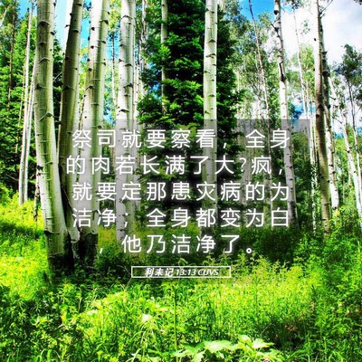 Picture 05 - 利 未 记 13:13 CUVS - 祭 司 就 要 察 看 ， 全 身 的 肉 若 - Bible Verse Picture