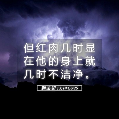 Picture 05 - 利 未 记 13:14 CUVS - 但 红 肉 几 时 显 在 他 的 身 上 就 - Bible Verse Picture