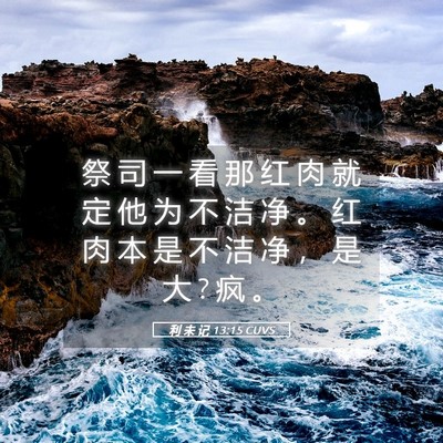 Picture 05 - 利 未 记 13:15 CUVS - 祭 司 一 看 那 红 肉 就 定 他 为 不 - Bible Verse Picture