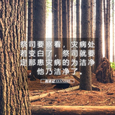 Picture 05 - 利 未 记 13:17 CUVS - 祭 司 要 察 看 ， 灾 病 处 若 变 白 - Bible Verse Picture
