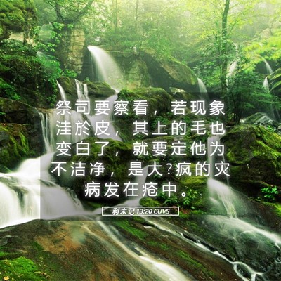 Picture 05 - 利 未 记 13:20 CUVS - 祭 司 要 察 看 ， 若 现 象 洼 於 皮 - Bible Verse Picture