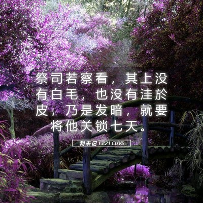 Picture 05 - 利 未 记 13:21 CUVS - 祭 司 若 察 看 ， 其 上 没 有 白 毛 - Bible Verse Picture