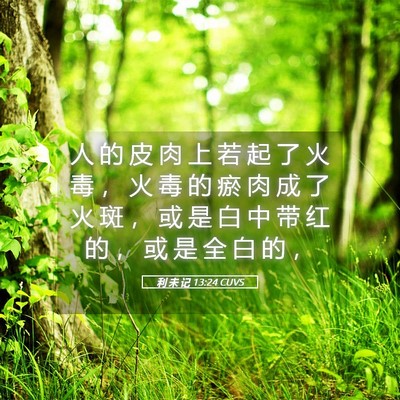 Picture 05 - 利 未 记 13:24 CUVS - 人 的 皮 肉 上 若 起 了 火 毒 ， 火 - Bible Verse Picture
