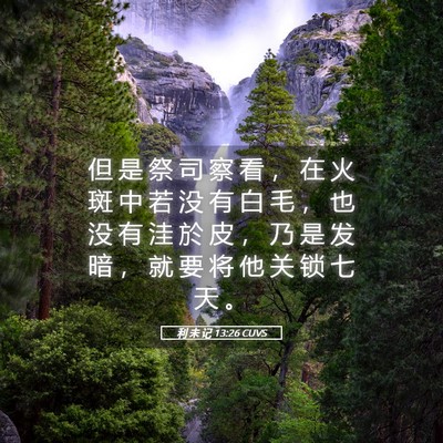 Picture 05 - 利 未 记 13:26 CUVS - 但 是 祭 司 察 看 ， 在 火 斑 中 若 - Bible Verse Picture