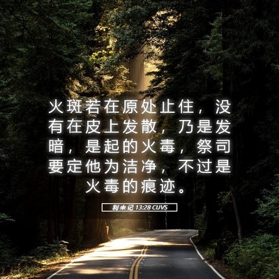 Picture 05 - 利 未 记 13:28 CUVS - 火 斑 若 在 原 处 止 住 ， 没 有 在 - Bible Verse Picture