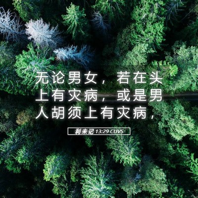 Picture 05 - 利 未 记 13:29 CUVS - 无 论 男 女 ， 若 在 头 上 有 灾 病 - Bible Verse Picture