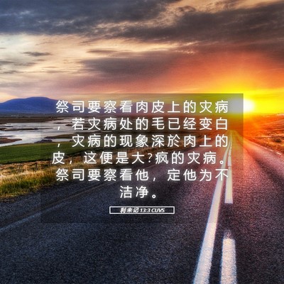 Picture 05 - 利 未 记 13:3 CUVS - 祭 司 要 察 看 肉 皮 上 的 灾 病 ， - Bible Verse Picture