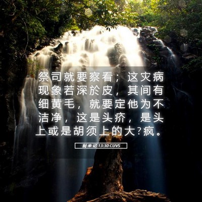 Picture 05 - 利 未 记 13:30 CUVS - 祭 司 就 要 察 看 ； 这 灾 病 现 象 - Bible Verse Picture