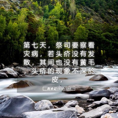 Picture 05 - 利 未 记 13:32 CUVS - 第 七 天 ， 祭 司 要 察 看 灾 病 ， - Bible Verse Picture