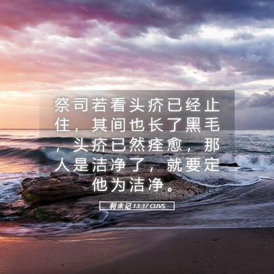 Picture 05 - 利 未 记 13:37 CUVS - 祭 司 若 看 头 疥 已 经 止 住 ， 其 - Bible Verse Picture