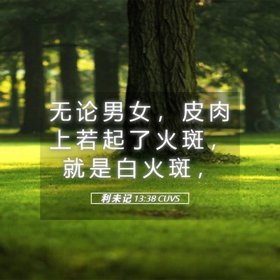 Picture 05 - 利 未 记 13:38 CUVS - 无 论 男 女 ， 皮 肉 上 若 起 了 火 - Bible Verse Picture