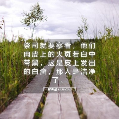 Picture 05 - 利 未 记 13:39 CUVS - 祭 司 就 要 察 看 ， 他 们 肉 皮 上 - Bible Verse Picture