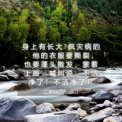 Picture 05 - 利 未 记 13:45 CUVS - 身 上 有 长 大 ? 疯 灾 病 的 ， 他 的 - Bible Verse Picture