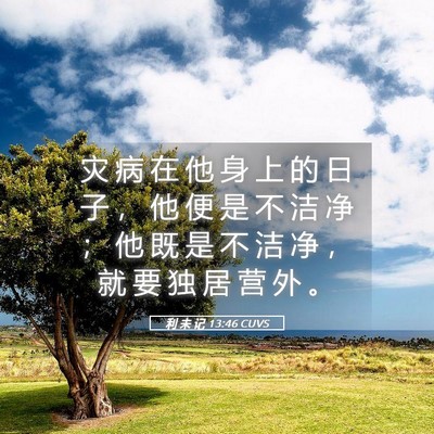 Picture 05 - 利 未 记 13:46 CUVS - 灾 病 在 他 身 上 的 日 子 ， 他 便 - Bible Verse Picture