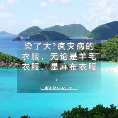 Picture 05 - 利 未 记 13:47 CUVS - 染 了 大 ? 疯 灾 病 的 衣 服 ， 无 论 - Bible Verse Picture
