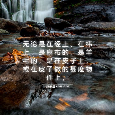 Picture 05 - 利 未 记 13:48 CUVS - 无 论 是 在 经 上 、 在 纬 上 ， 是 - Bible Verse Picture