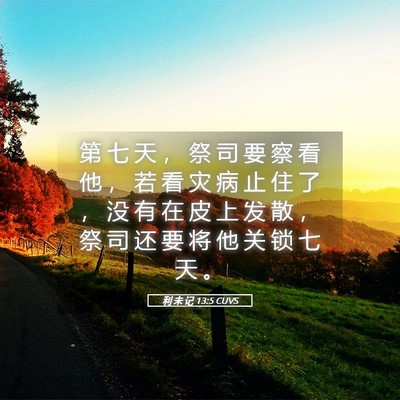 Picture 05 - 利 未 记 13:5 CUVS - 第 七 天 ， 祭 司 要 察 看 他 ， 若 - Bible Verse Picture